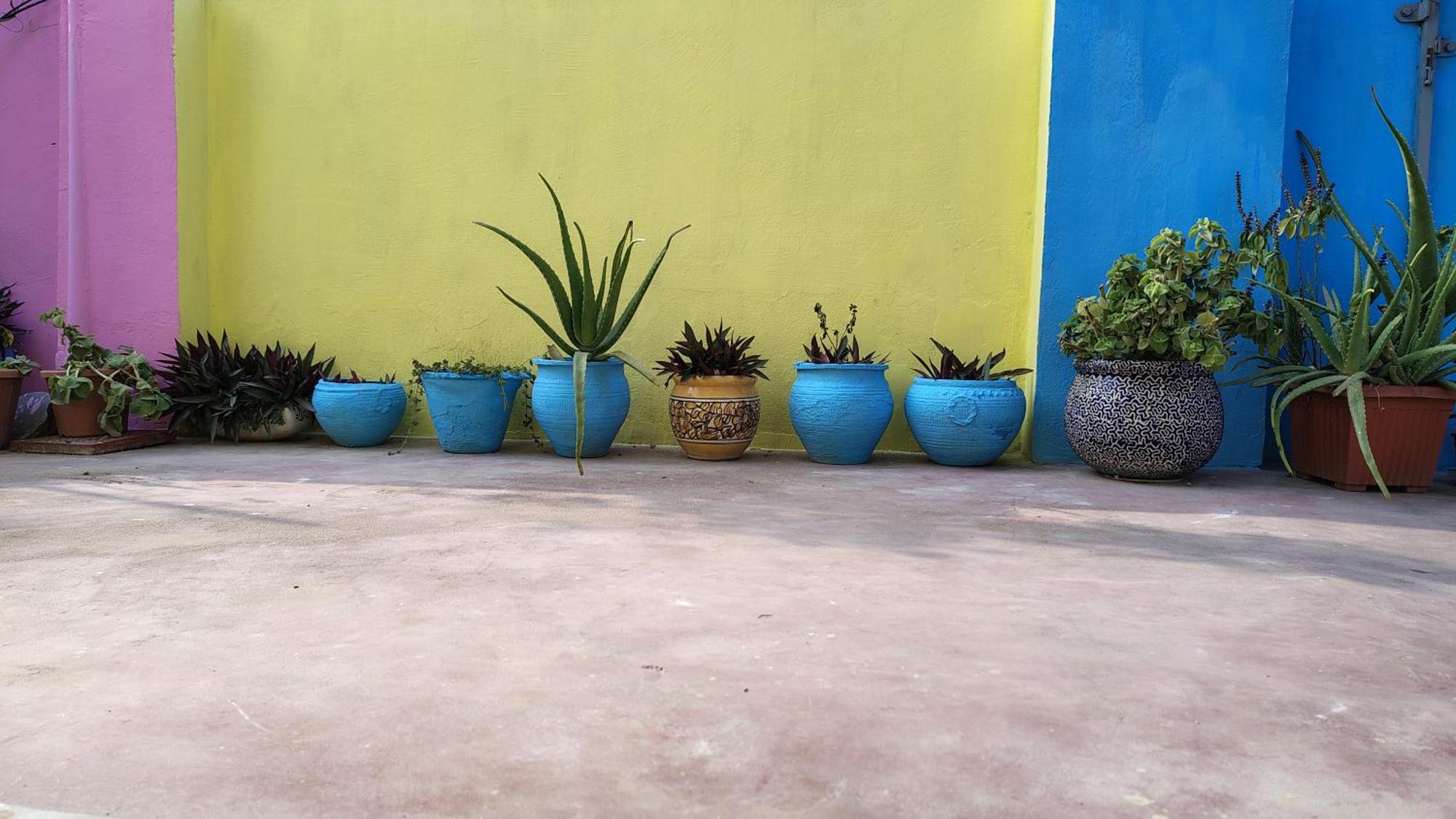 Ali Baba Hostel 斋浦尔 外观 照片